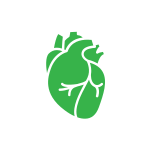 SISTEMA CARDIO CIRCOLATORIO